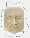 face example with wire